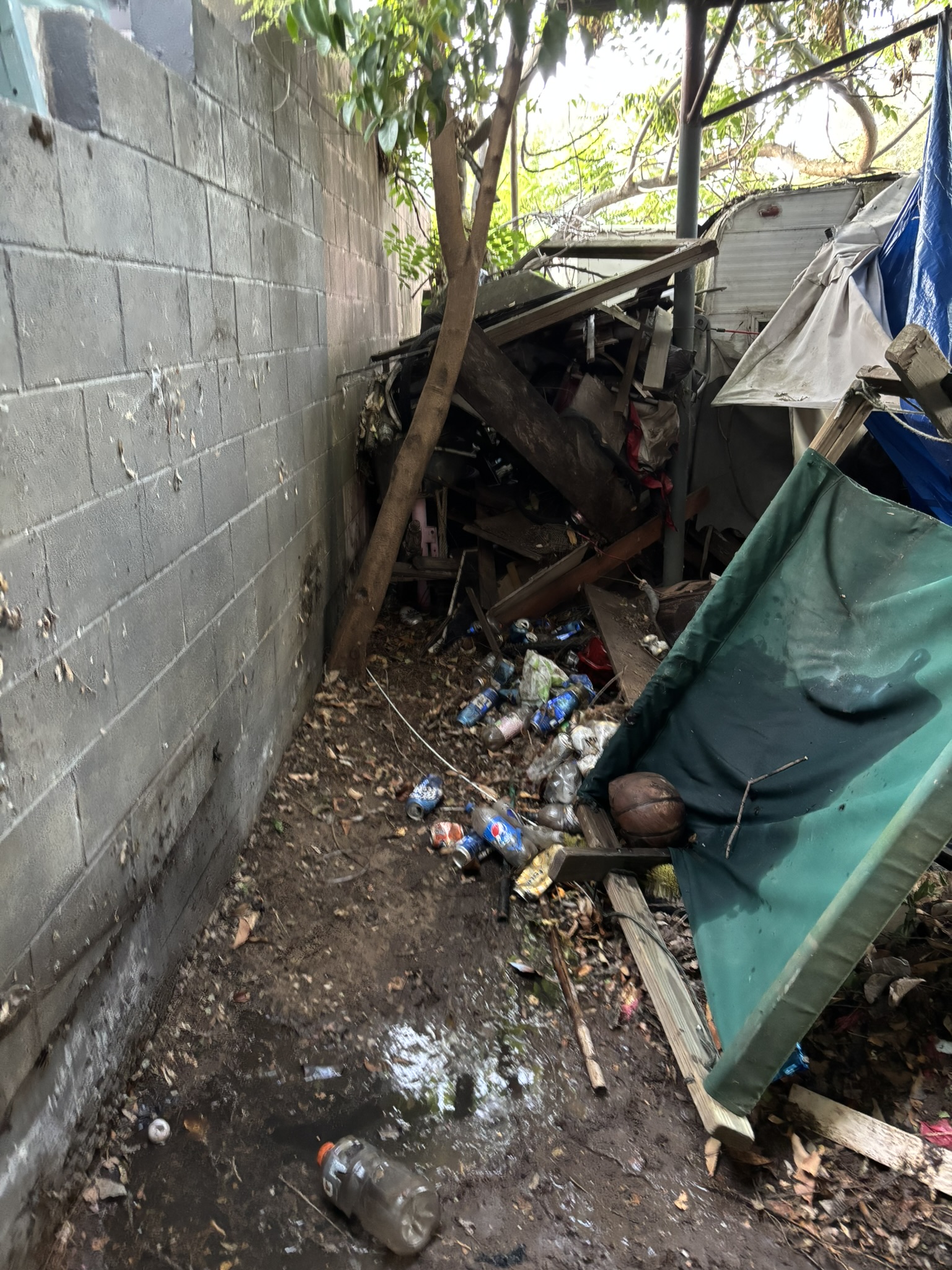 Side yard packed with cans, bottles, and collapsed structures — before cleanup